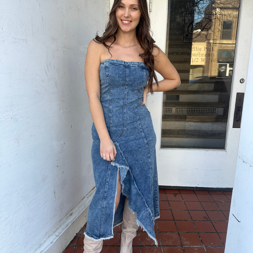 
                      
                        Speak Now Denim Dress
                      
                    