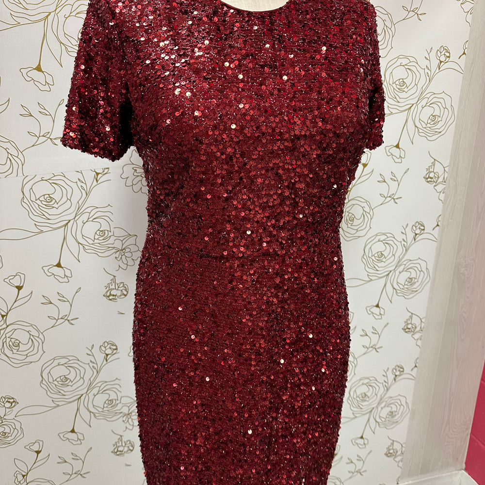 
                      
                        Short Sleeve Sequin Dress
                      
                    