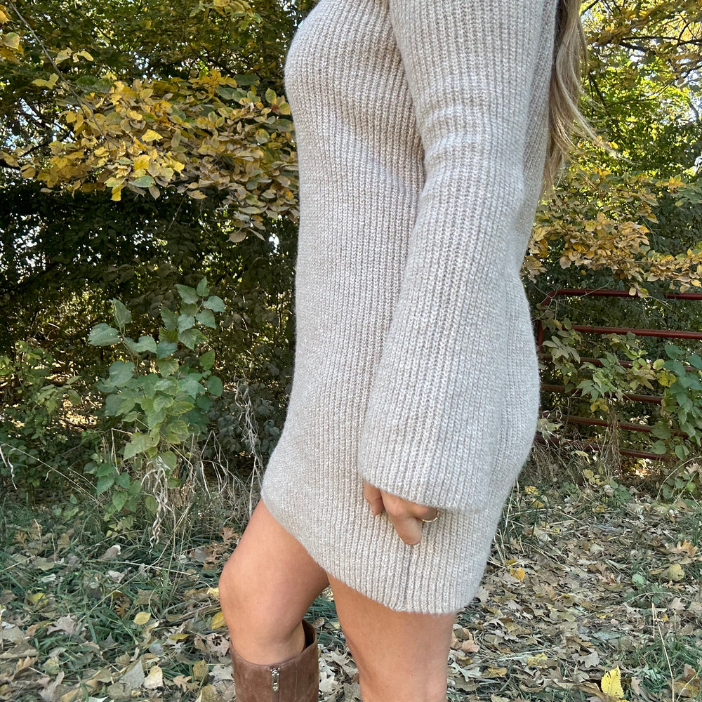 
                      
                        Steve Madden Abbie Sweater Dress
                      
                    