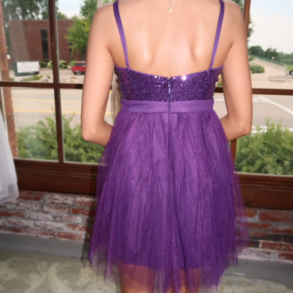 
                      
                        Eggplant Party Dress
                      
                    